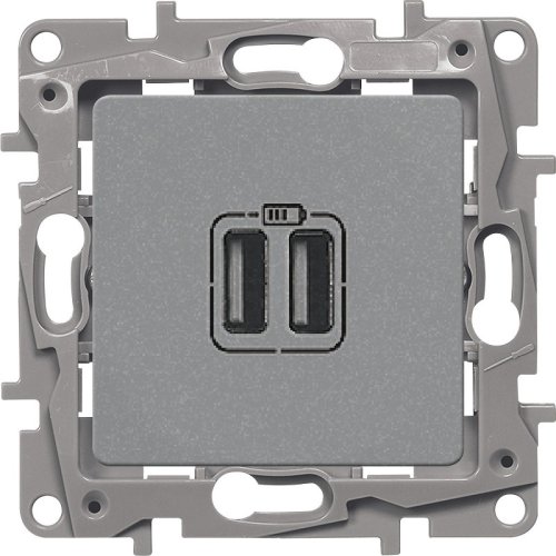 Розетка USB тип A+A без рамки Legrand Etika 2-м. 2400мА алюминий картинка